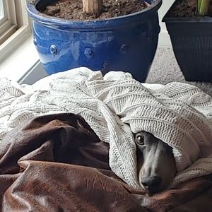 Meet your Posher, Marc